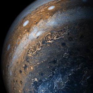 Meet your Posher, Caleb